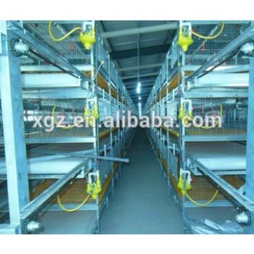 chicken egg poultry farm