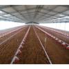 high quality modern discount chicken house/poultry house/steel structure poultry farm manufacturer in China