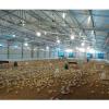 industrial prefabricated steel structure poultry farm shed chicken house/hen home #1 small image