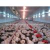 modern leading prefab broiler/layer chicken farm house manufacturer in China #1 small image