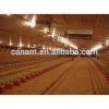china supplier Prefabricated steel structure chicken house poultry farming #1 small image