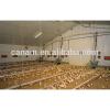 CANAM Prefabricated steel structure chicken house poultry farming #1 small image