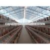 steel structure poultry house and poultry farming #1 small image