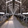 Advanced Automated Steel Structure Cattle Ranch In Australia