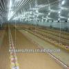 prefabricate steel structure large chicken houses