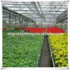 Modern planting industry galvanized steel structure greenhouse for planting