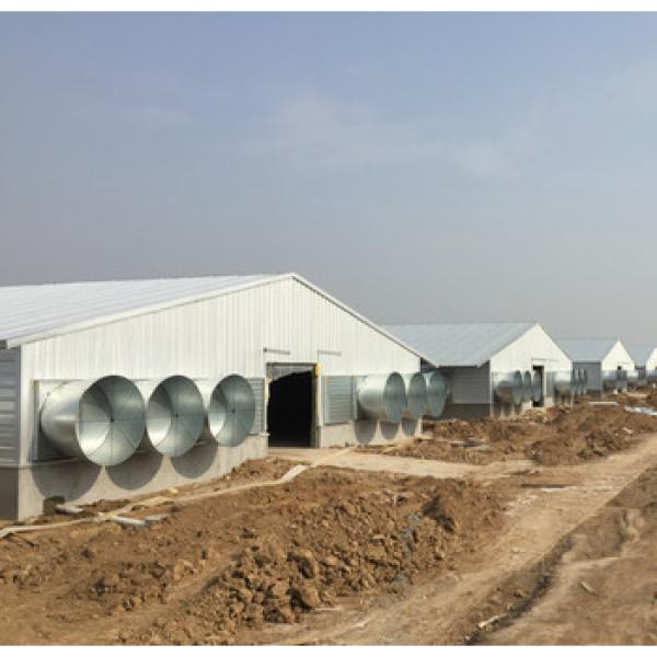 professional high quality with low price modern poultry house/chicken house hen building in China #1 image