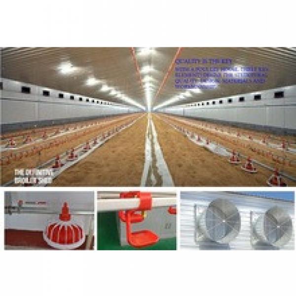 whole low cost prefab poultry farm house steel structure design #1 image
