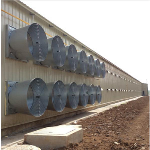 china steel structure chicken house construction building/poultry farming equipment chicken shed #1 image