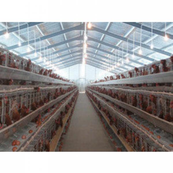 whole low cost steel structure fram broiler/layer chicken eggs house building #1 image