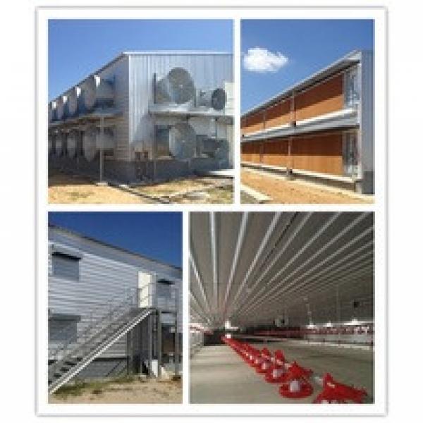 whole low cost prefab steel broiler/layer poultry farm shed factory in china #1 image