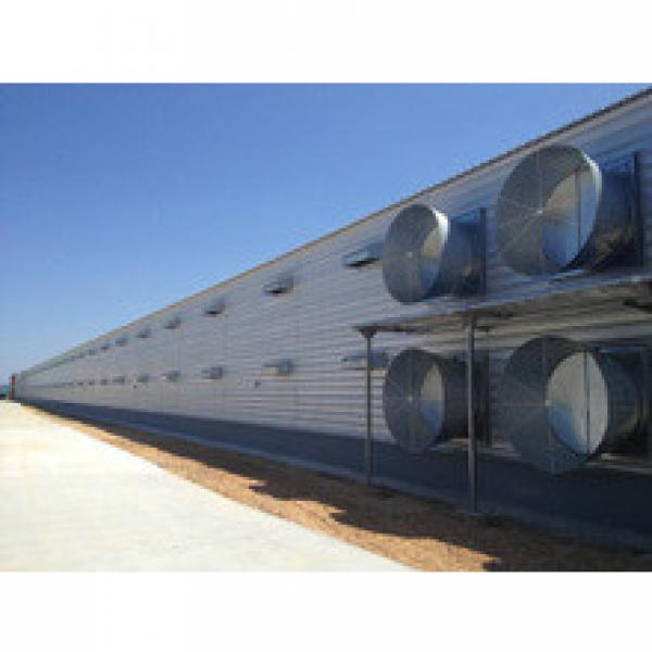 whole low cost poultry farming equipment and chicken house steel structure shed building in china #1 image