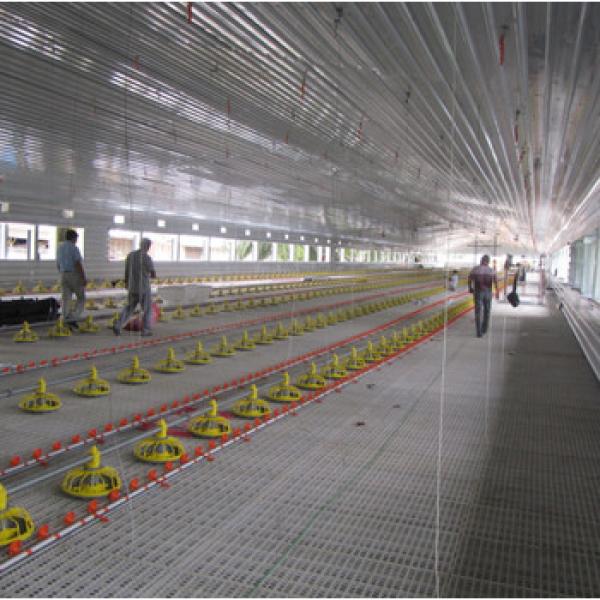 light frame steel structure poultry house with automatic poultry farming equipment #1 image