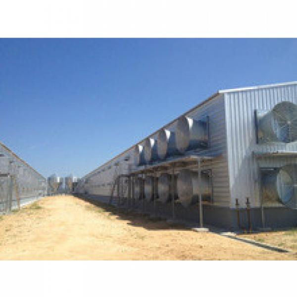 high quality modern leading prefab farm poultry chicken house with automatic equipment by China poultry house manufacturer #1 image
