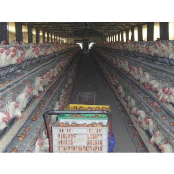 Low-cost Layer Egg Chicken Cage/Poultry Farm House Designs #1 image