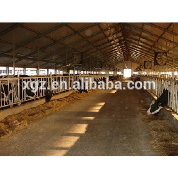 modern specialized cow cattle farm #1 image