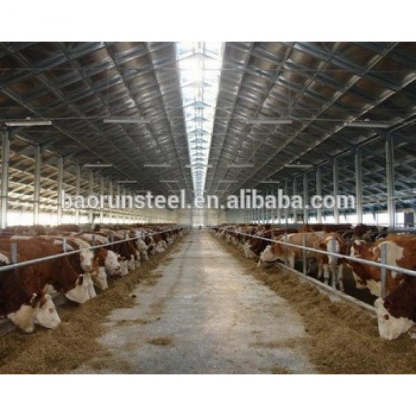 highest quality farm poultry steel building made in China #1 image